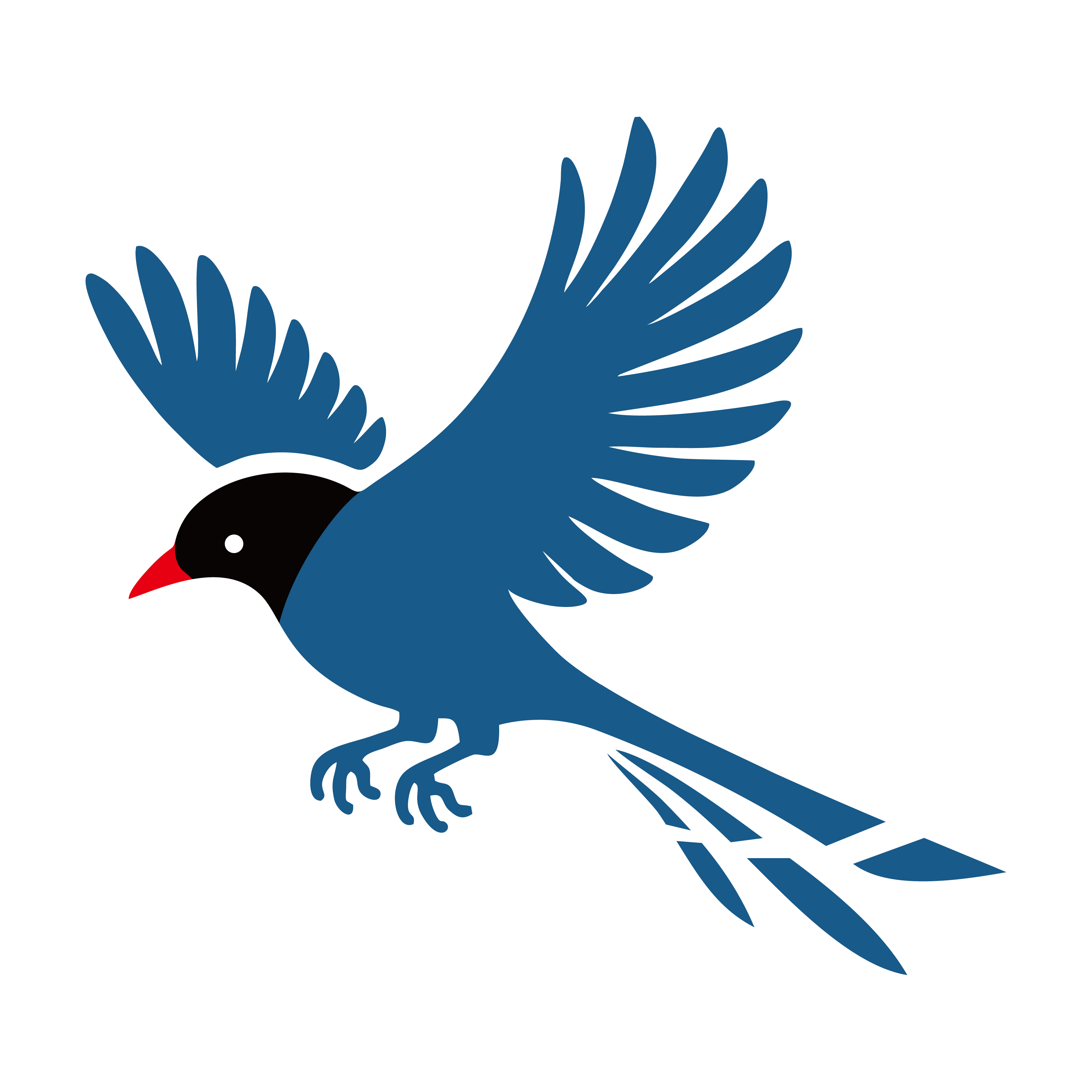 飛拓投創 Blue Magpie Investment Group